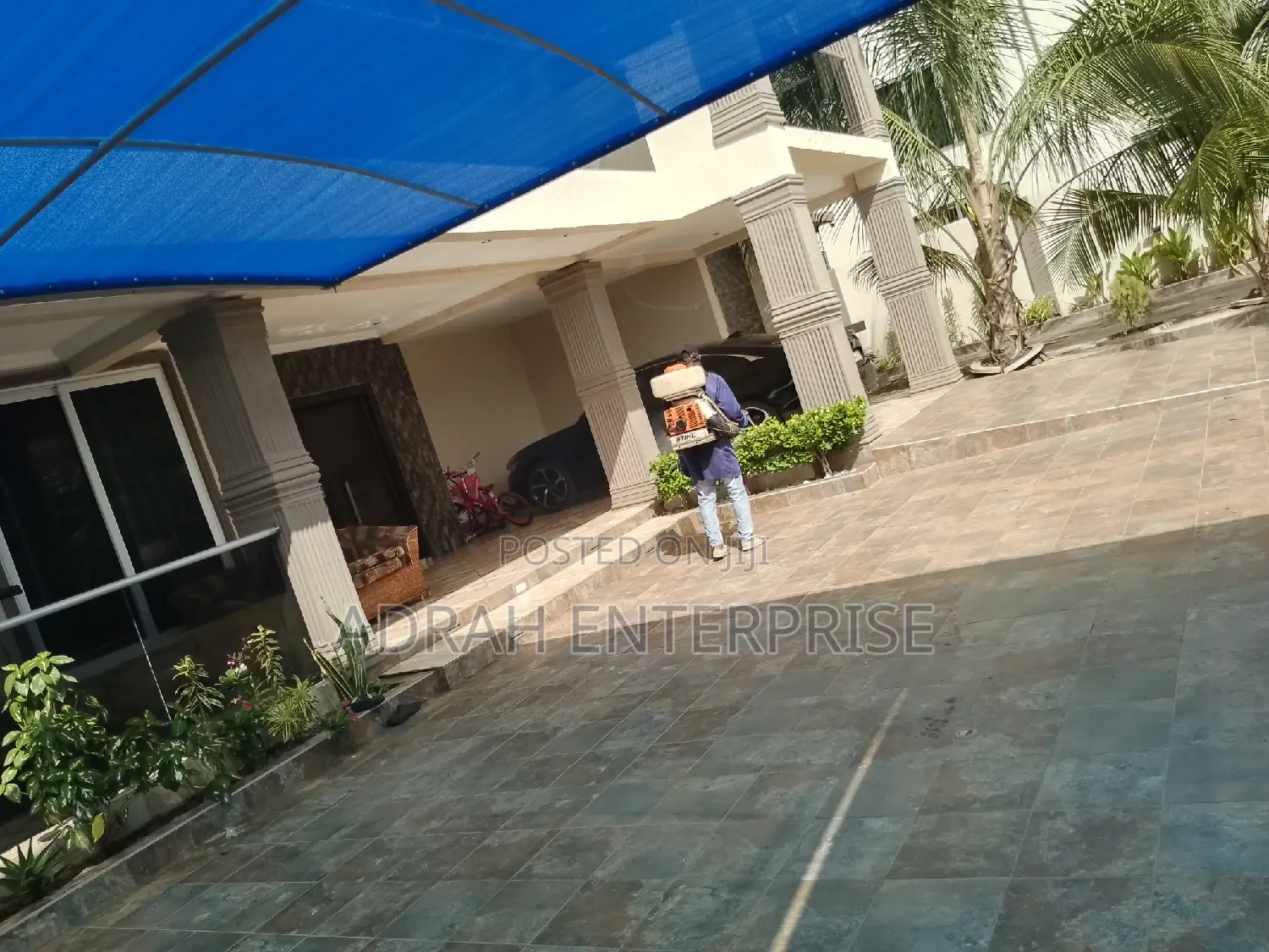 Snakes, Cockroach, Mouse Mosquitoes Fumigation Service