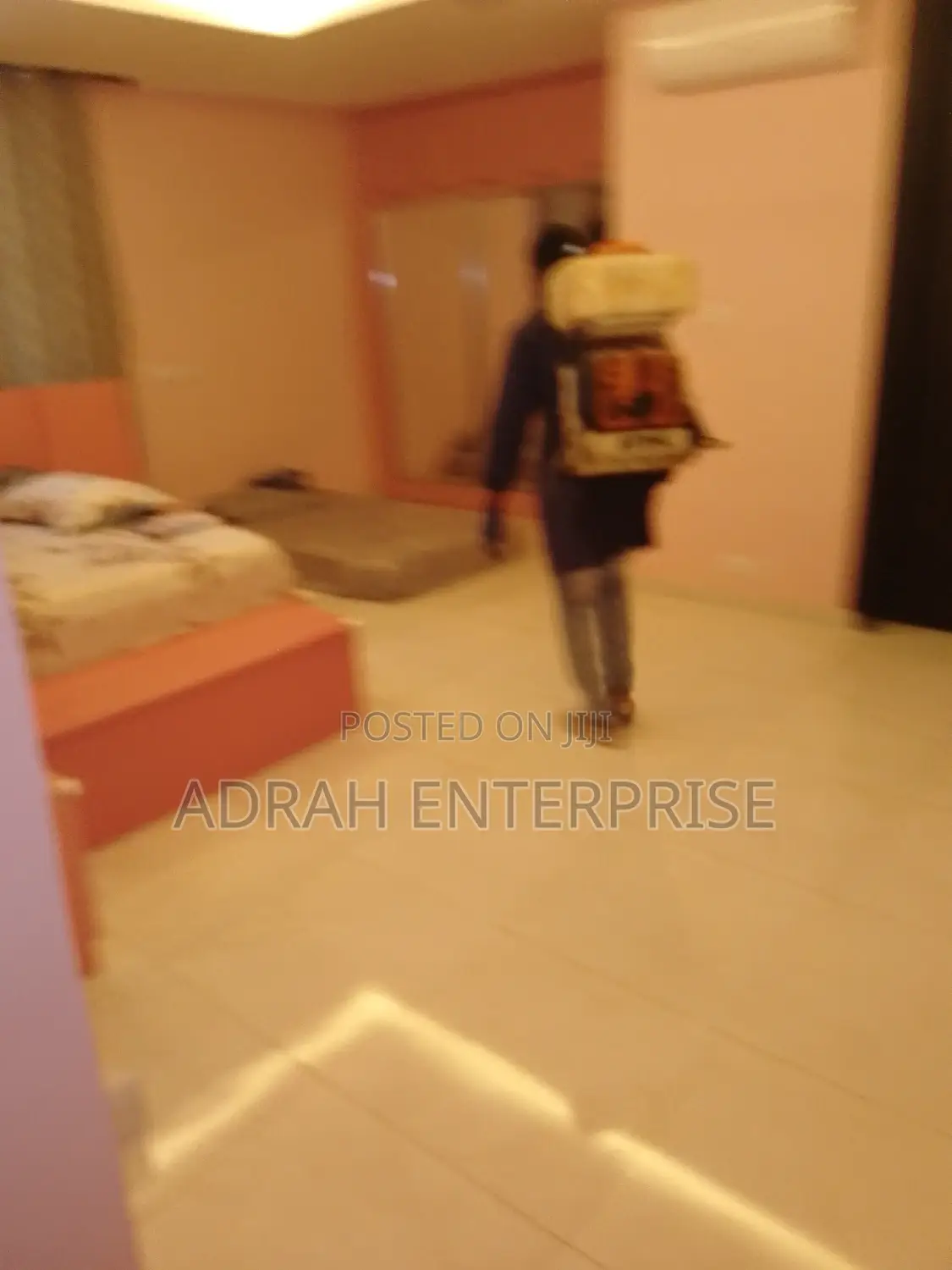 Bedbugs, Lizard,Cockroach, Mosquito Fumigation Service