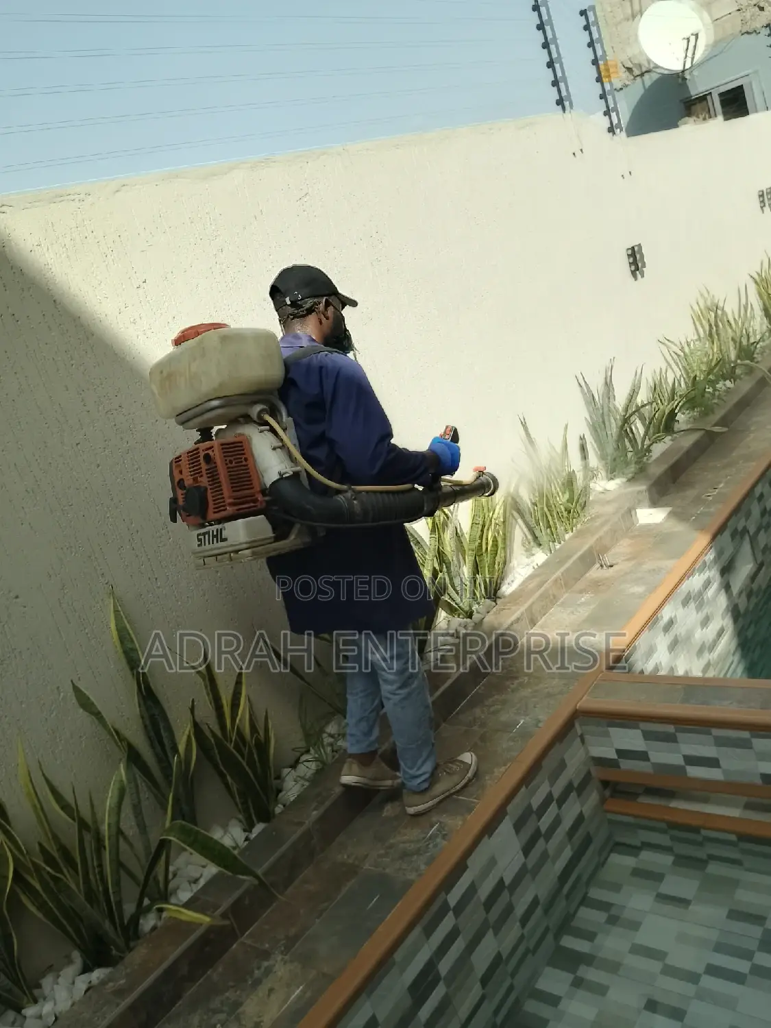 Bedbugs, Lizard,Cockroach, Mosquito Fumigation Service