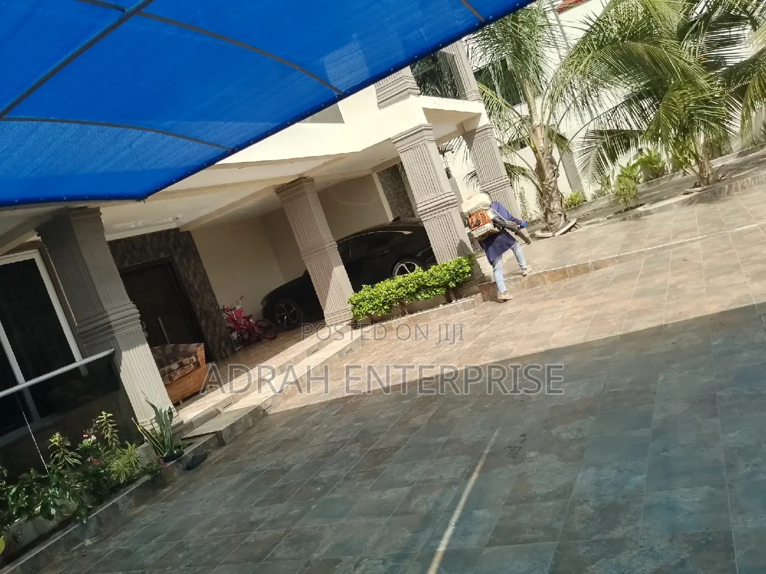 Bedbugs, Lizard,Cockroach, Mosquito Fumigation Service