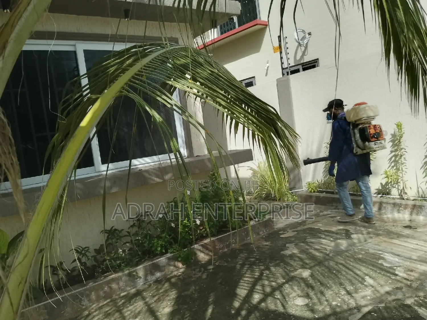 Bedbugs, Lizard,Cockroach, Mosquito Fumigation Service