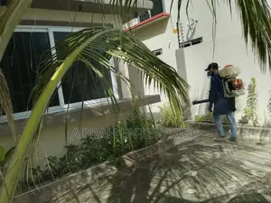Bedbugs, Lizard,Cockroach, Mosquito Fumigation Service
