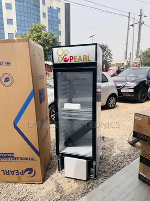 Very Affordable PVC-316 Fridge Single Door