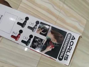 4 Testine Gun Massager