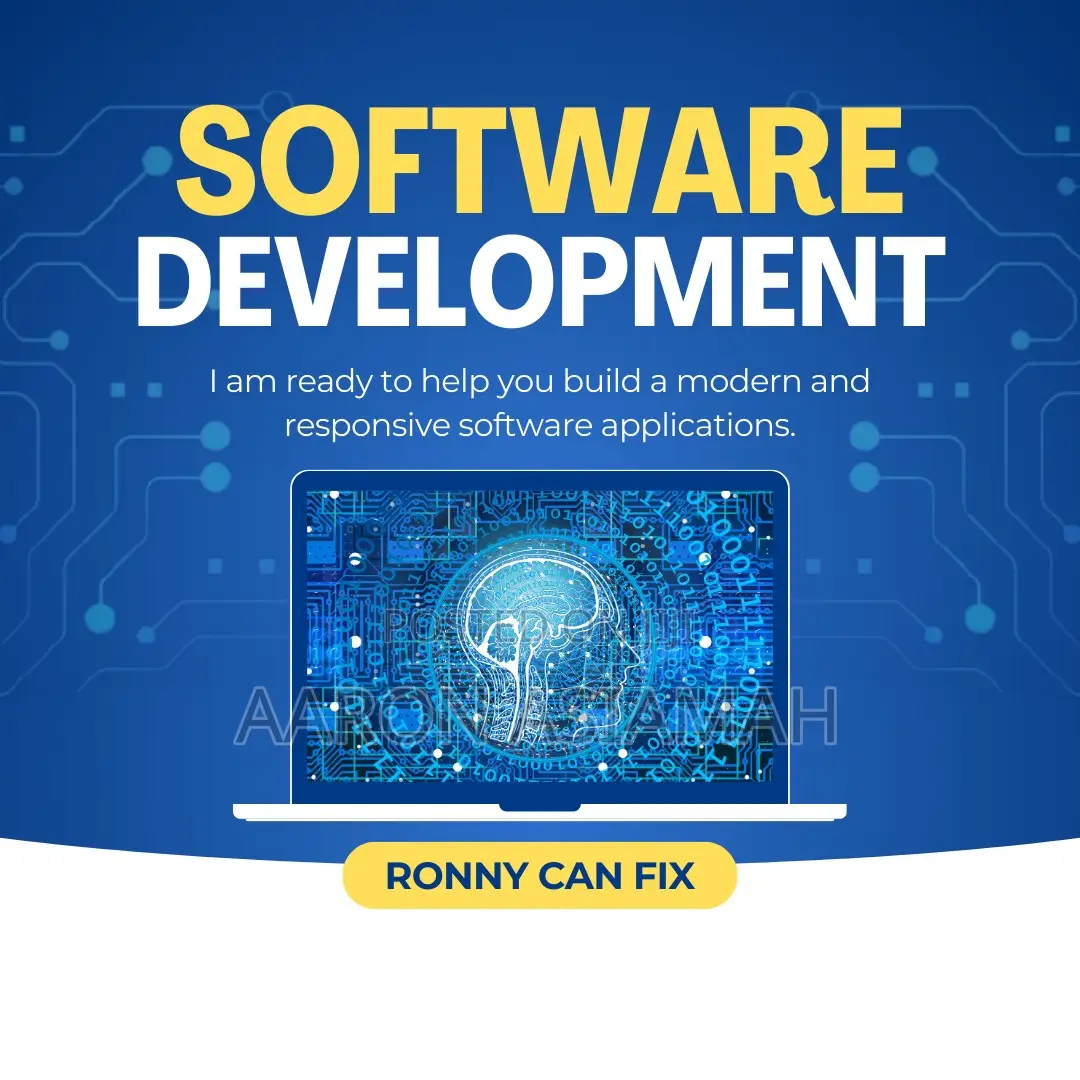 Software Developer