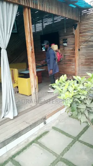 Pest Control and Fumigation Service Available Now