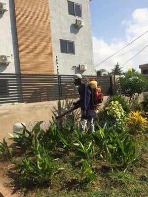 Professional Replites Fumigation Service