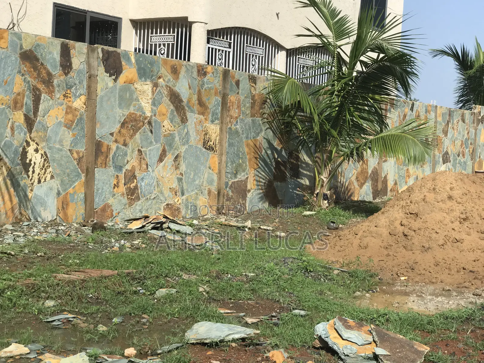 Best and Affordable Way of Treating Your Wall