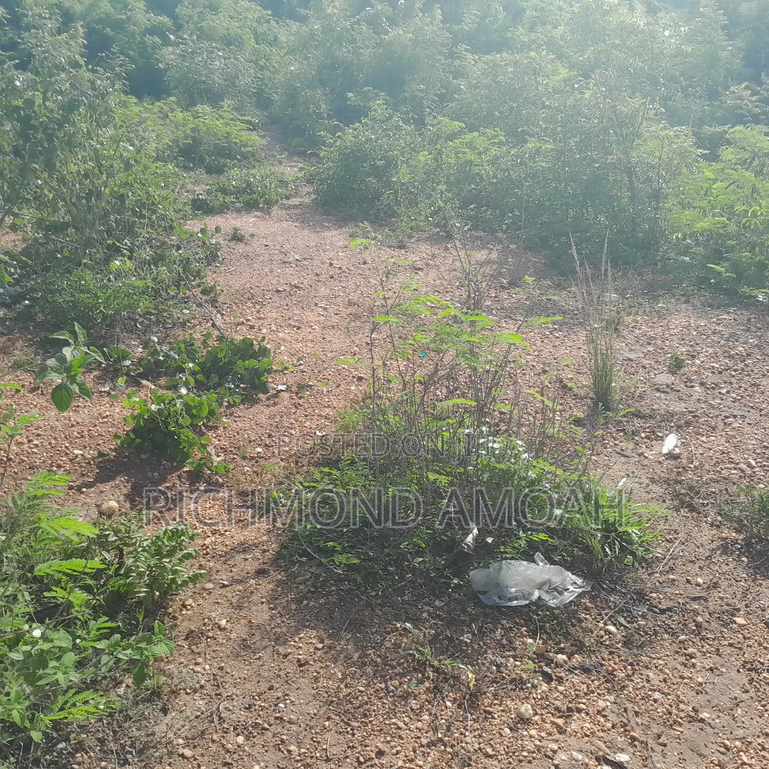 Half Plot for Sale at Saint John's