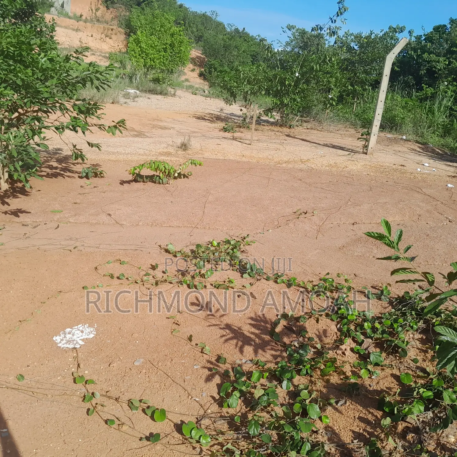 Plot for Sale at Apowa Cocoa Board