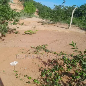 Plot for Sale at Apowa Cocoa Board