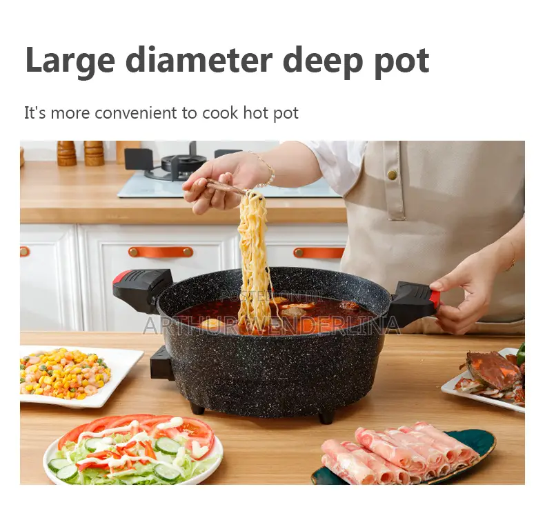 Hoffmans Multifunctional Electric Micro Pressure Cooker.8l