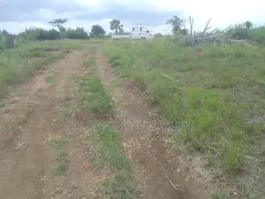 Serviced One and Half Plot at Tsopoli