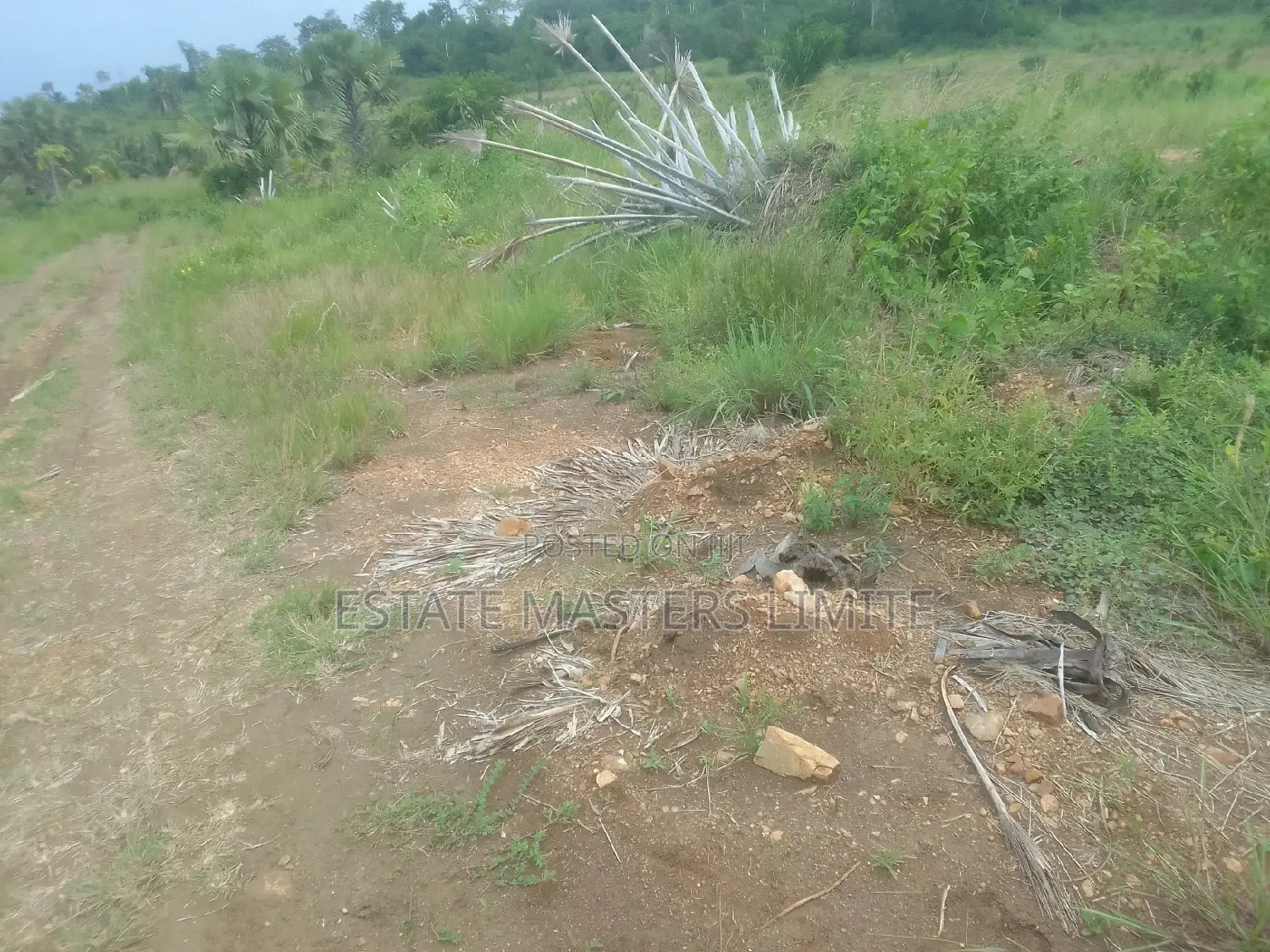 Serviced One and Half Plot at Tsopoli