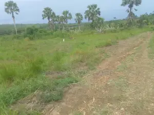 Genuine and Titled Half Plot of Land for Sale at Potsin