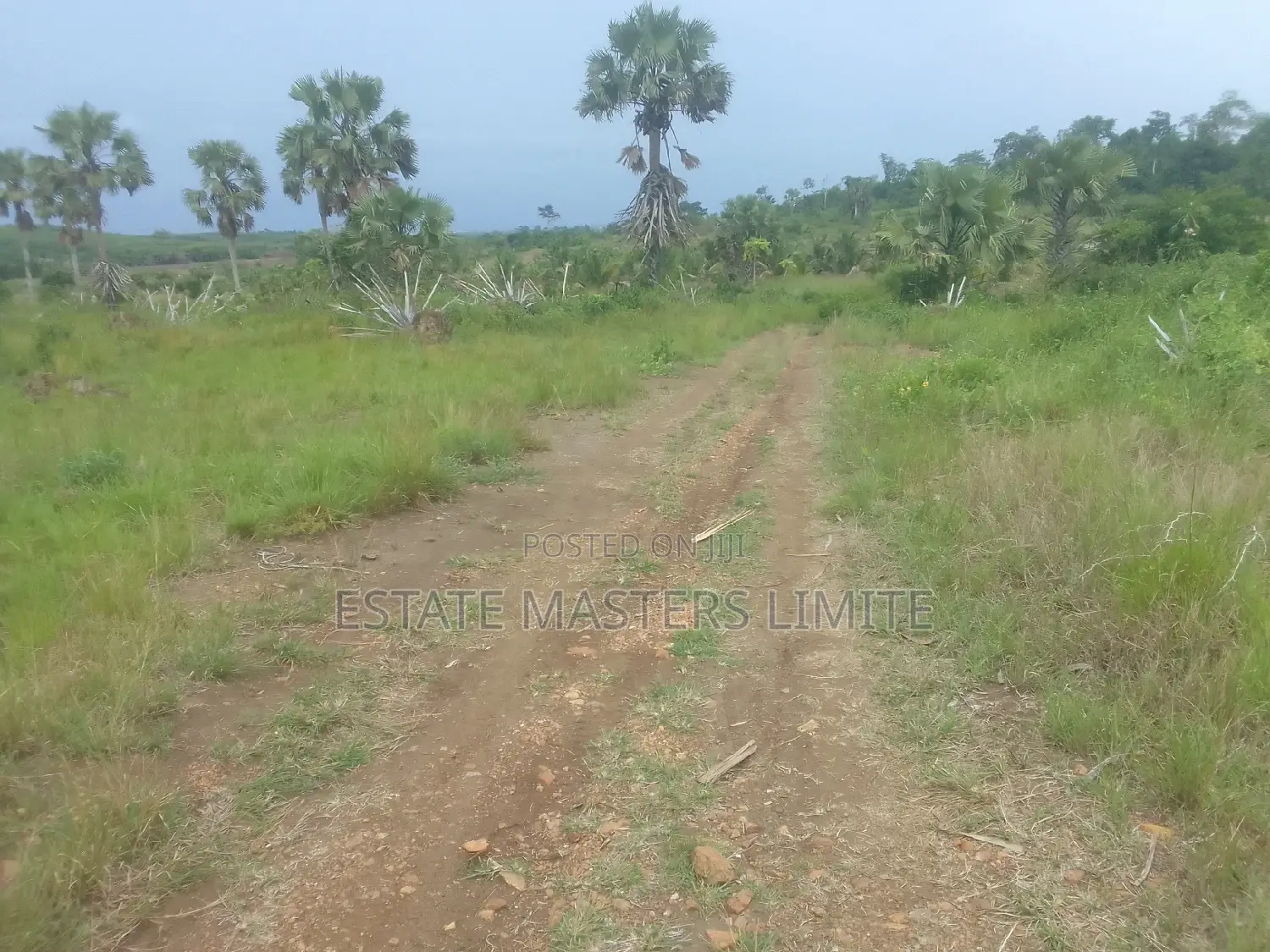 Genuine and Titled Half Plot of Land for Sale at Potsin