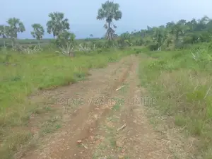 Genuine and Titled Half Plot of Land for Sale at Potsin
