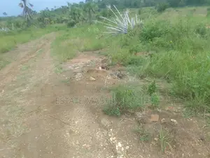 Registered Full Plot of Land for Sale at Prampram