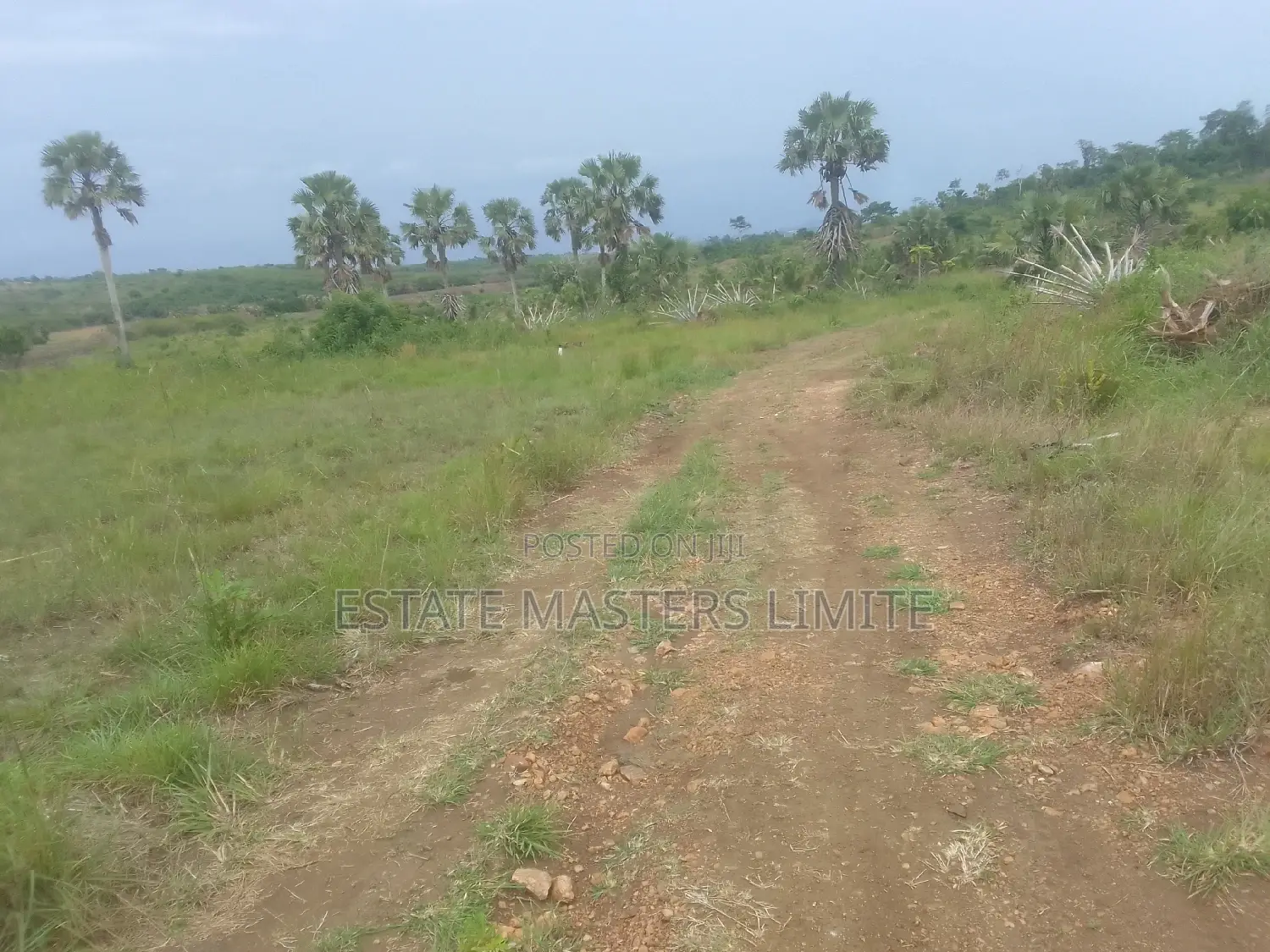 Registered One and Half Plot at Prampram for Sale