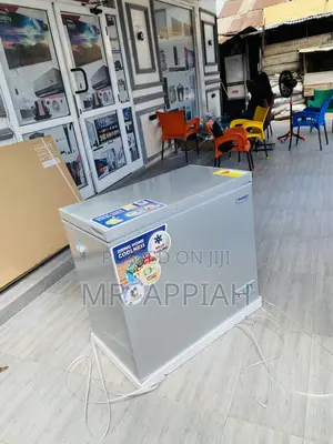 Nasco Single Door Chest Freezer(Nas 250)Gray.