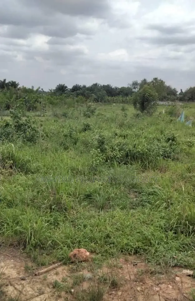 110 X120 Ft Plot of Land for Sale at Roman Ridge