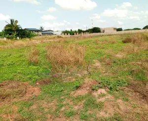 110 X120 Ft Plot of Land for Sale at Roman Ridge