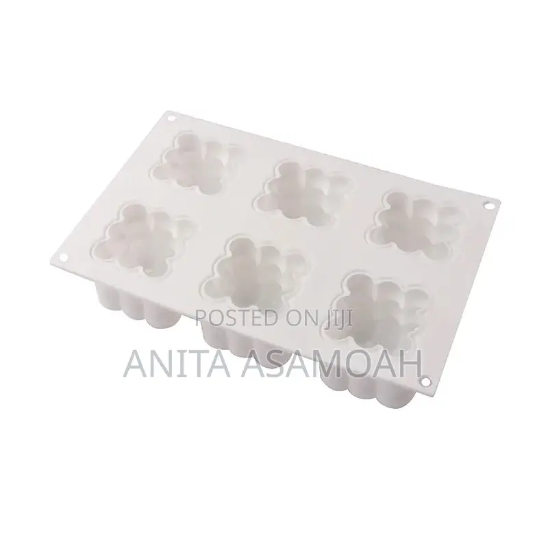 6 Cavity Bubble Mold