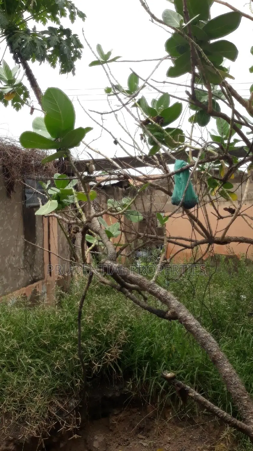 New Land for Sale at Adenta