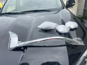 Land Cruiser Prado Headlight Chrome Shining