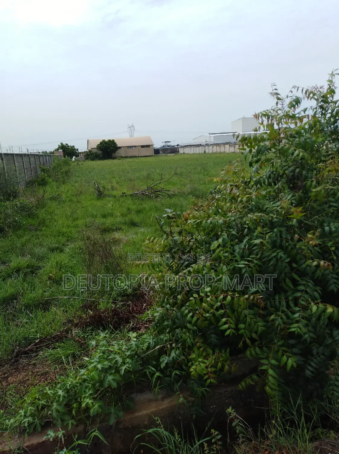 Plots of Land