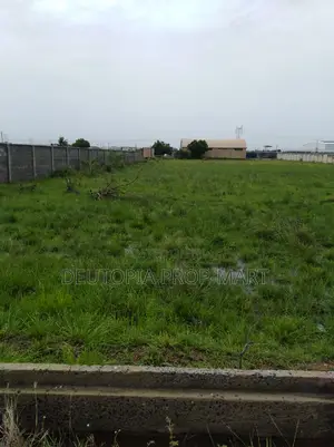 Plots of Land