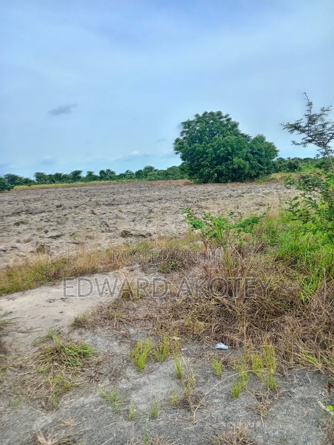 Over 5000 Acres of Farmland for Lease at Akuietey in Ho Municipal