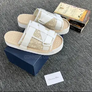 Dior Slippers