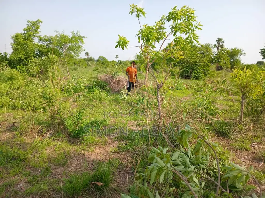 Land for Sale