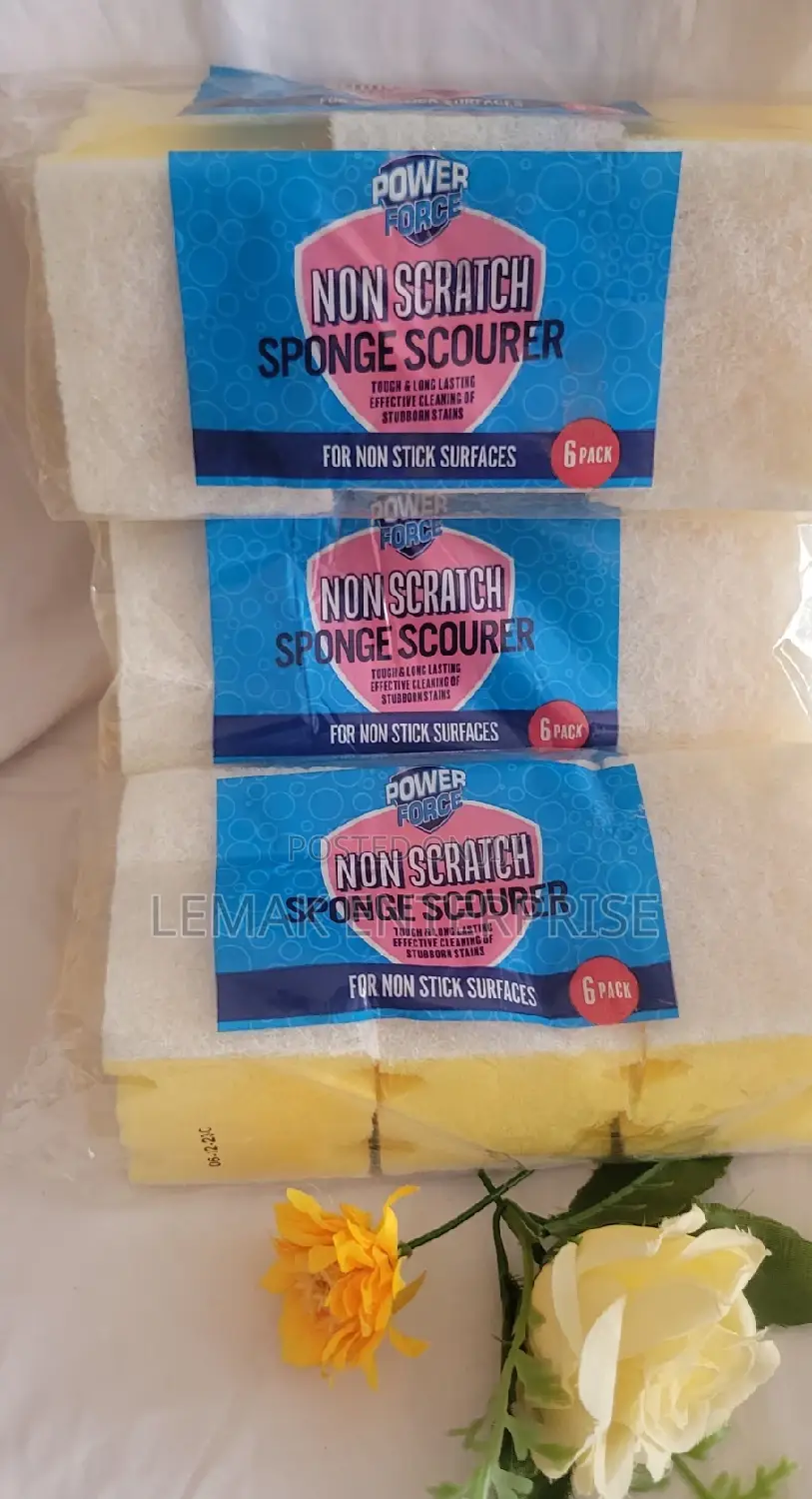 Sponge /Non Scratch Scourers 6 Piece