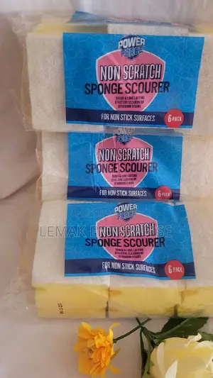 Sponge /Non Scratch Scourers 6 Piece