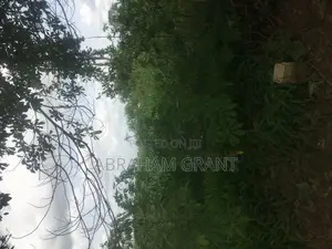 Many Genuine Land for Sale at Ejisu Boankra and Atia.