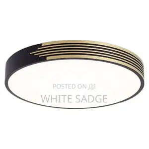 Vip Ceiling Light 3color Size 400mm