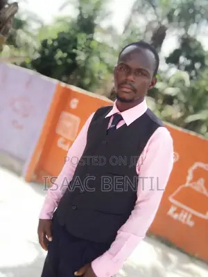 Looking for Job