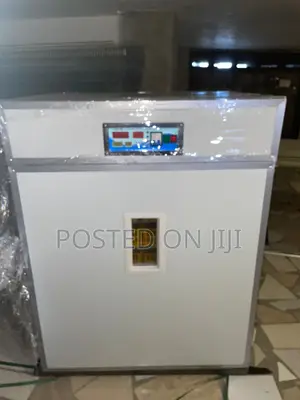 1056 Egg Capacity Incubator Imported