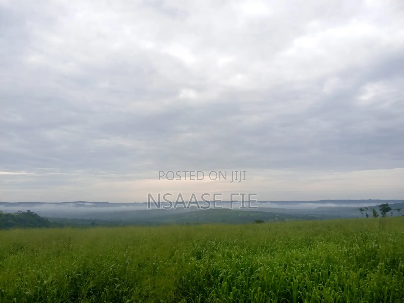 Mountainview Land 20mins From Galloway Junction for Sale