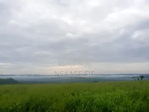 Mountainview Land 20mins From Galloway Junction for Sale