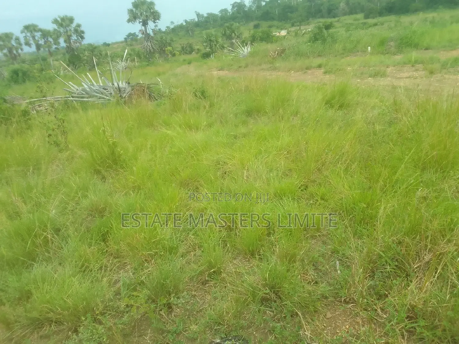 Registered Serviced One and Half Plot at Potsin for Sale
