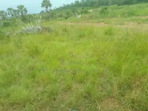 Registered Serviced One and Half Plot at Potsin for Sale