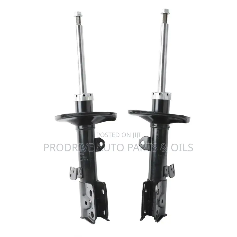 Toyota Corolla 2009/ Matrix/ Vibe Back Shock Absorber