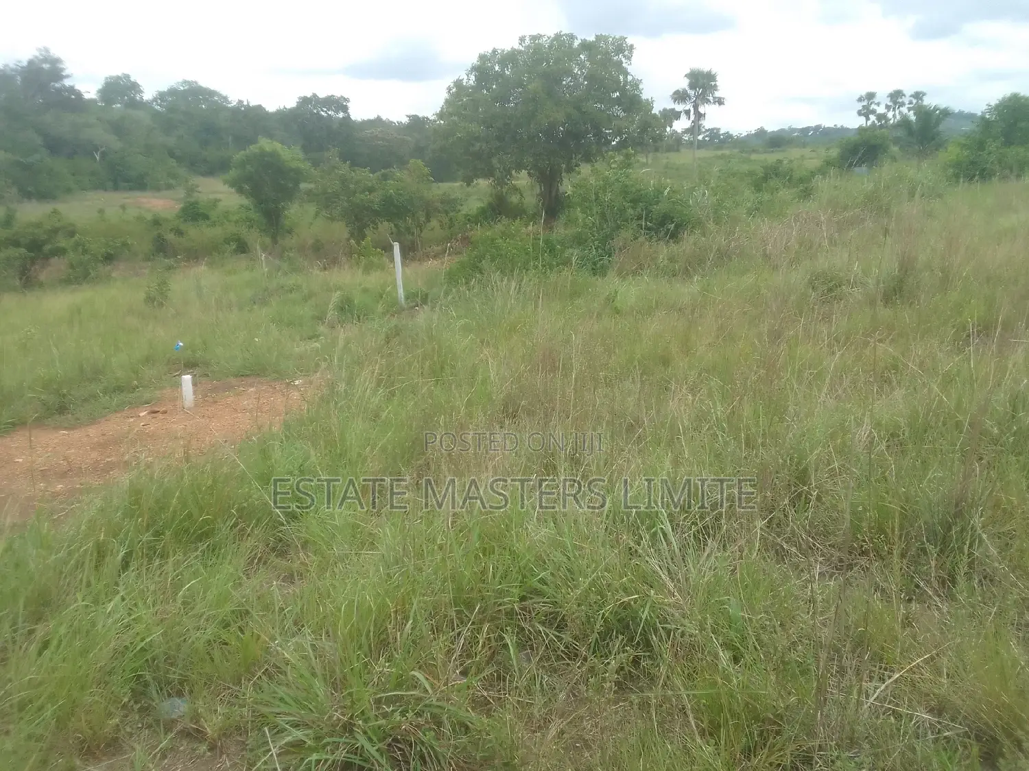 Affordable Value Land at Panfokromoff the Kasoa Winneba Road