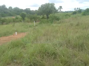 Affordable Value Land at Panfokromoff the Kasoa Winneba Road
