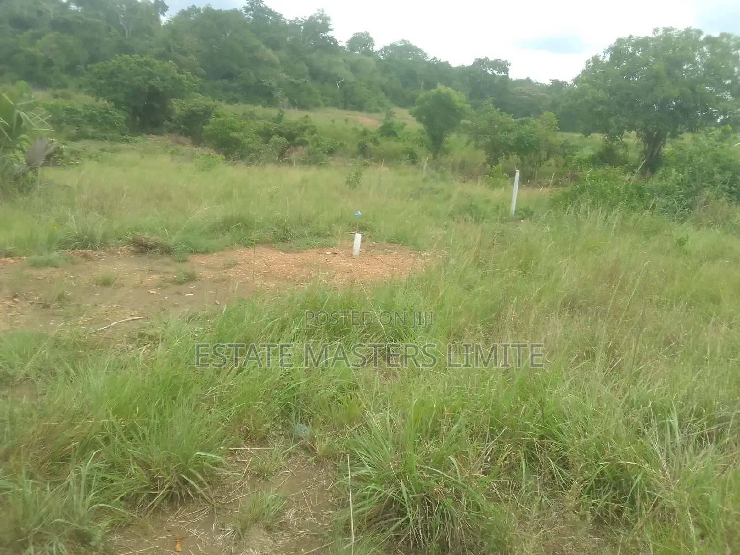 Affordable Value Land at Panfokromoff the Kasoa Winneba Road
