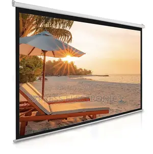 Eldo 150x150 Cm Electronic Projector Screen
