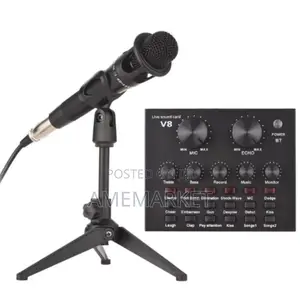 Studio Condenser Microphone With V8 Sound Card Desktop Set